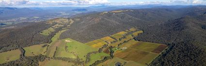 Brown Brothers Vineyard - VIC (PBH3 00 34134)